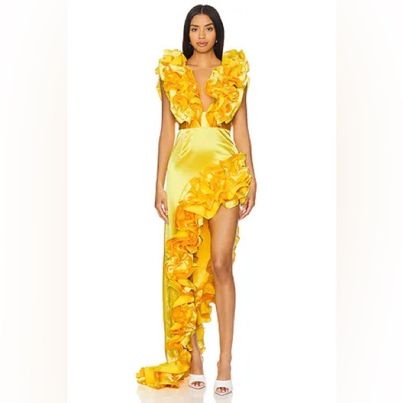 Bronx and Banco Dresses & Skirts - Bronx & Banco Aurora Floral Ruffle Embellished Plunge Bias Gown XS NWT